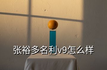 張裕多名利v9怎么樣