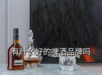 有什么好的啤酒品牌嗎