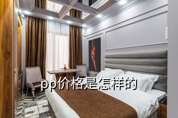 pp價(jià)格是怎樣的