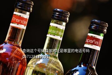 查詢這個(gè)號碼具體地址是哪里的電話號碼057128319291