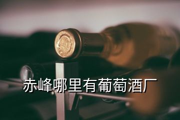 赤峰哪里有葡萄酒廠