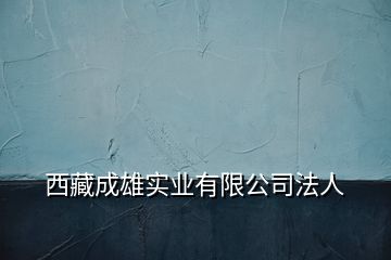 西藏成雄實(shí)業(yè)有限公司法人