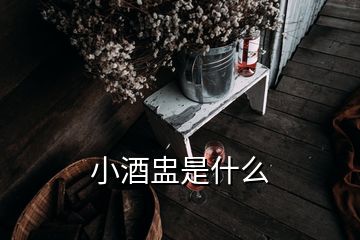 小酒盅是什么