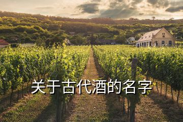 關于古代酒的名字