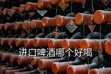 進(jìn)口啤酒哪個(gè)好喝