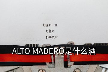 ALTO MADERO是什么酒