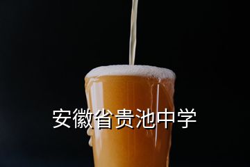 安徽省貴池中學(xué)