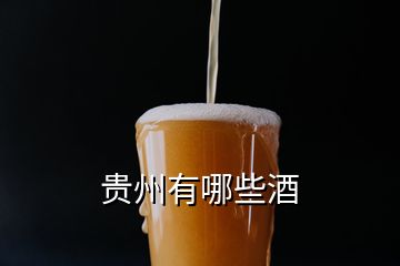 貴州有哪些酒