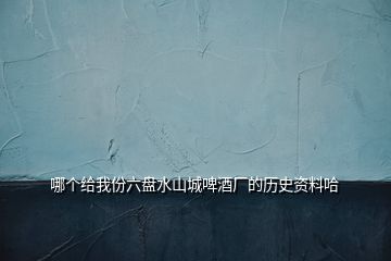 哪個給我份六盤水山城啤酒廠的歷史資料哈