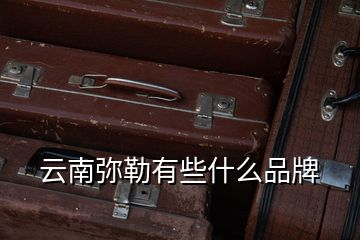 云南彌勒有些什么品牌