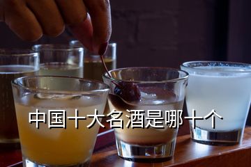 中國(guó)十大名酒是哪十個(gè)