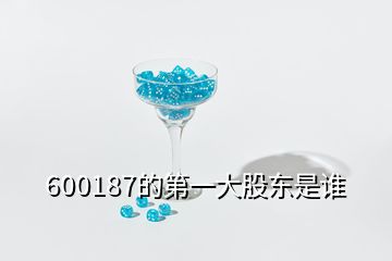 600187的第一大股東是誰