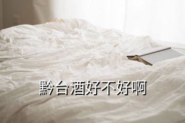 黔臺(tái)酒好不好啊