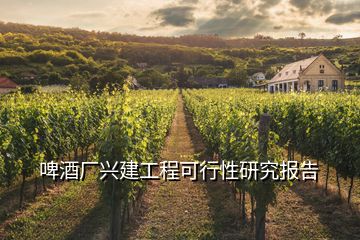 啤酒廠興建工程可行性研究報(bào)告