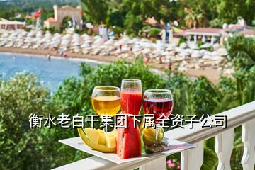衡水老白干集團下屬全資子公司