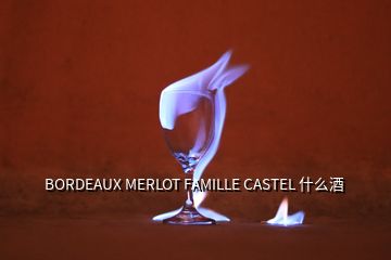 BORDEAUX MERLOT FAMILLE CASTEL 什么酒