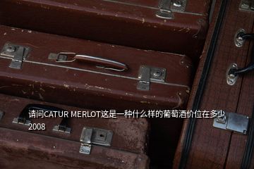 請問CATUR MERLOT這是一種什么樣的葡萄酒價位在多少2008