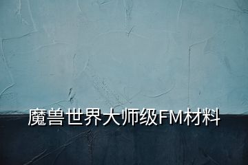 魔獸世界大師級(jí)FM材料