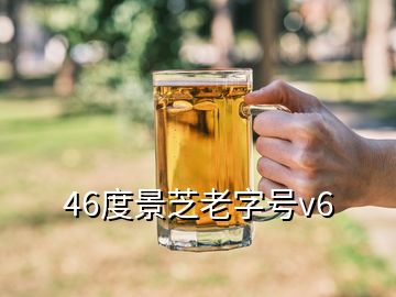 46度景芝老字號(hào)v6