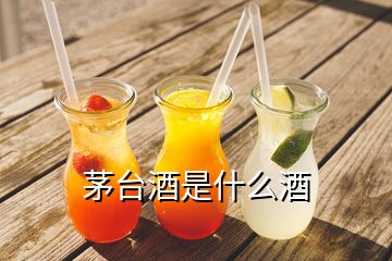 茅臺(tái)酒是什么酒