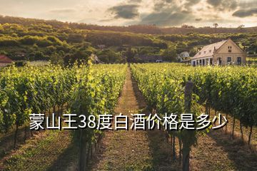 蒙山王38度白酒價格是多少