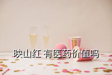 映山紅 有醫(yī)藥價(jià)值嗎