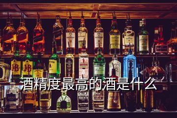 酒精度最高的酒是什么