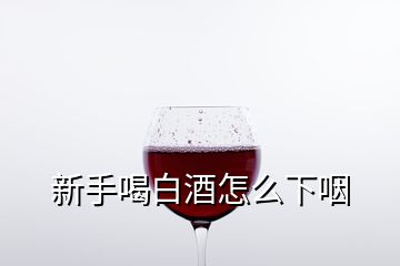 新手喝白酒怎么下咽