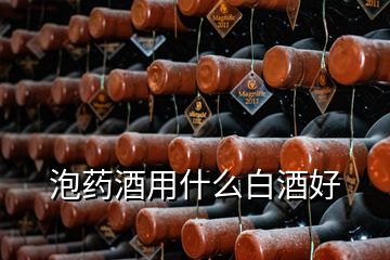 泡藥酒用什么白酒好