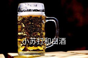 小蘇打和白酒