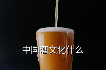 中國(guó)酒文化什么