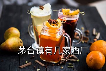 茅臺鎮(zhèn)有幾家酒廠