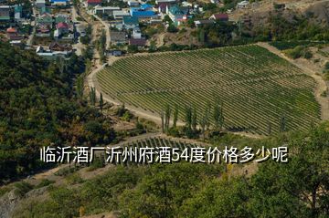 臨沂酒廠沂州府酒54度價格多少呢