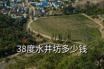 38度水井坊多少錢