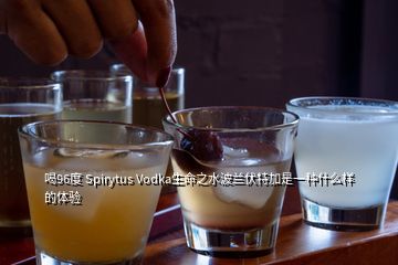 喝96度 Spirytus Vodka生命之水波蘭伏特加是一種什么樣的體驗