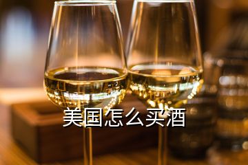 美國(guó)怎么買酒