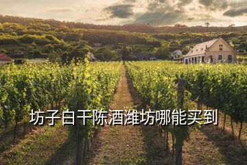 坊子白干陳酒濰坊哪能買到