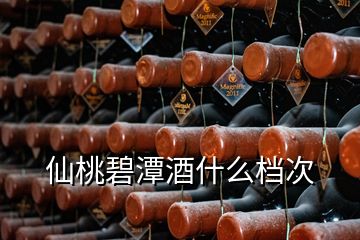 仙桃碧潭酒什么檔次