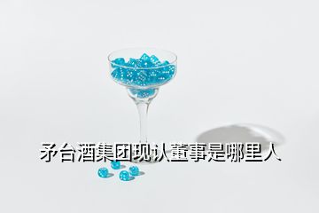 矛臺酒集團現(xiàn)認董事是哪里人