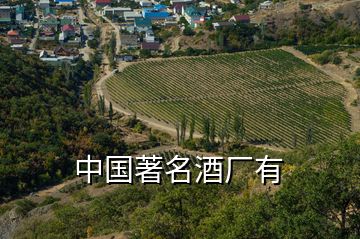 中國(guó)著名酒廠有