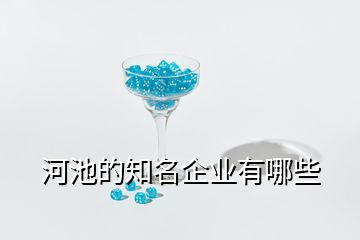 河池的知名企業(yè)有哪些