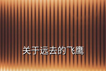 關(guān)于遠(yuǎn)去的飛鷹