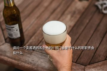 請(qǐng)問一個(gè)賣醬酒的名企他的IT部門會(huì)是干什么的呢職責(zé)會(huì)有什么
