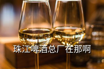 珠江啤酒總廠在那啊