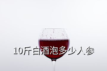 10斤白酒泡多少人參