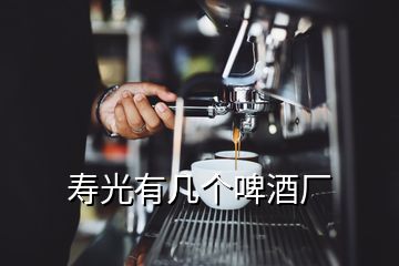 壽光有幾個(gè)啤酒廠