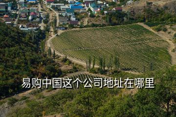 易購中國這個公司地址在哪里