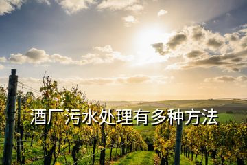 酒廠污水處理有多種方法