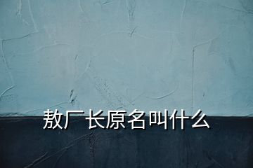 敖廠長(zhǎng)原名叫什么