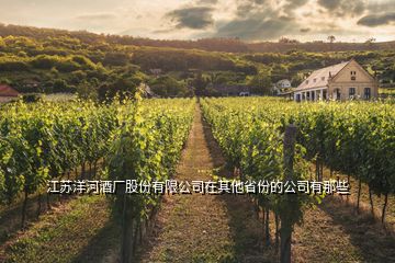 江蘇洋河酒廠股份有限公司在其他省份的公司有那些